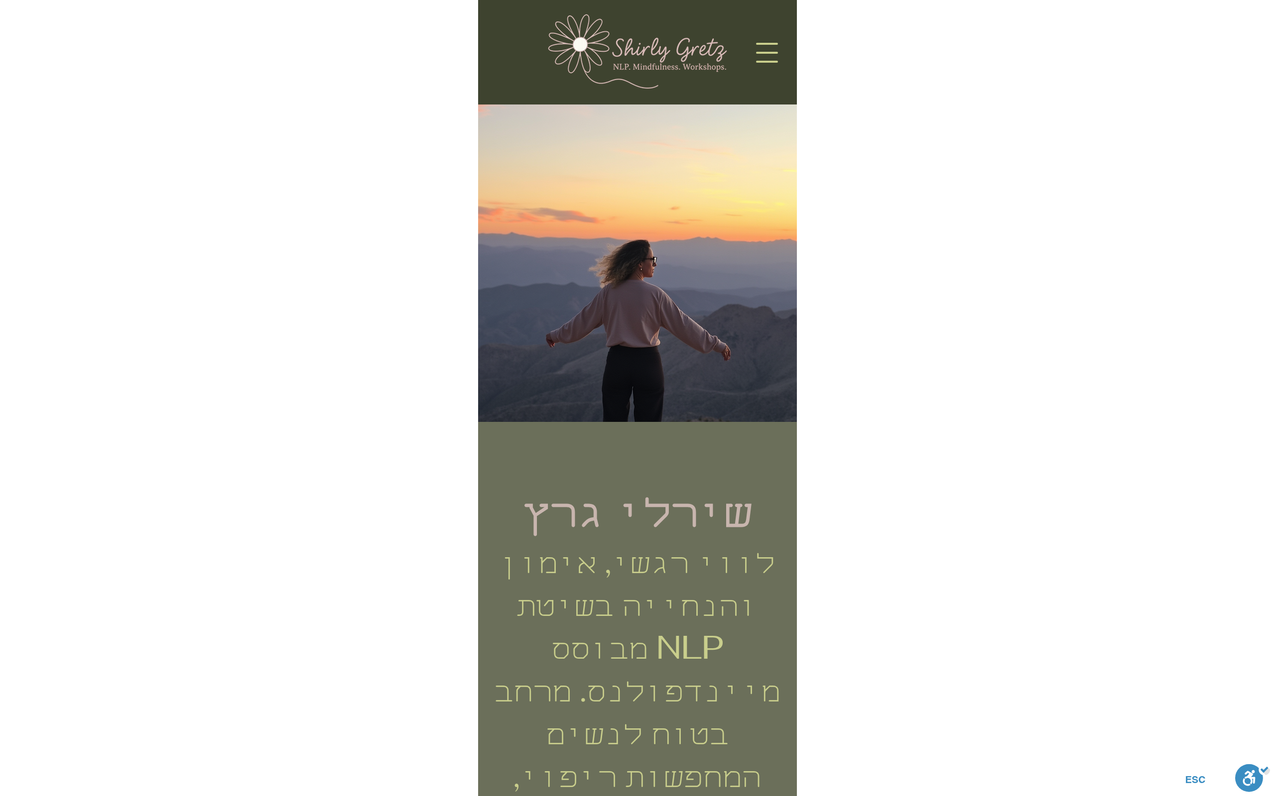 צילום מסך של אתר שירלי גרץ